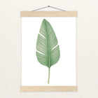 Strelitzien-Blatt Poster mit Leisten