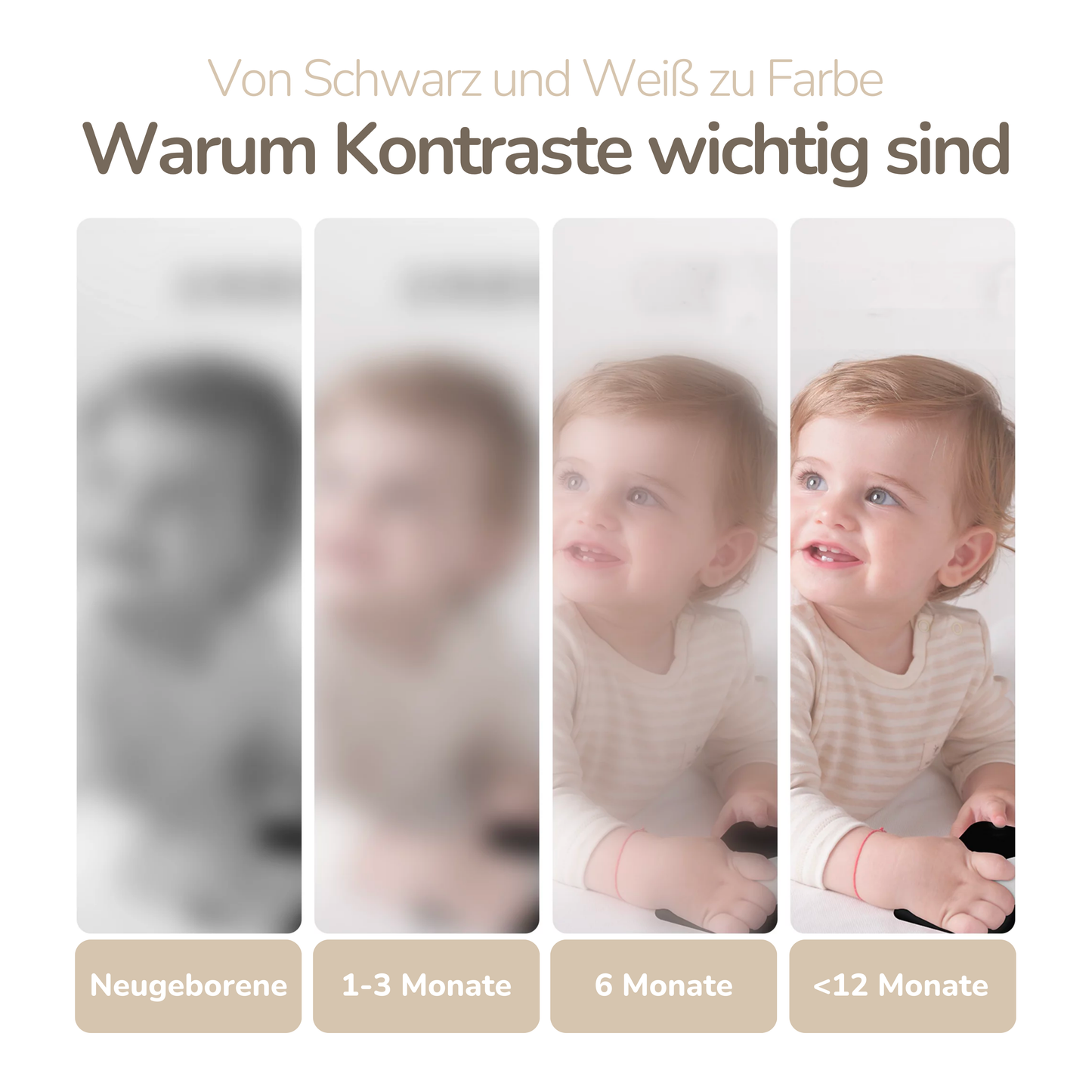 Unsere neuen Montessori Kontrastkarten