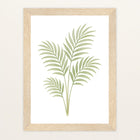 Howea-Blatt Poster mit Holzrahmen