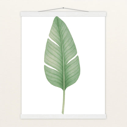 Strelitzien-Blatt Poster mit Leisten von tinylearner