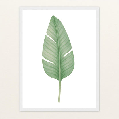 Strelitzien-Blatt Poster mit Holzrahmen von tinylearner