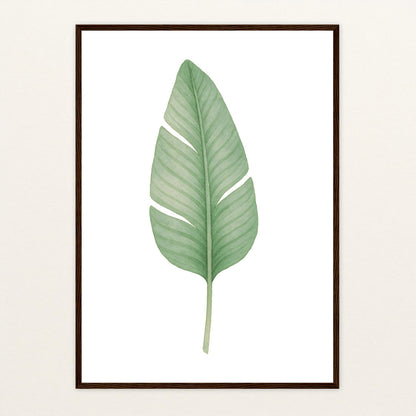 Strelitzien-Blatt Poster mit Holzrahmen von tinylearner