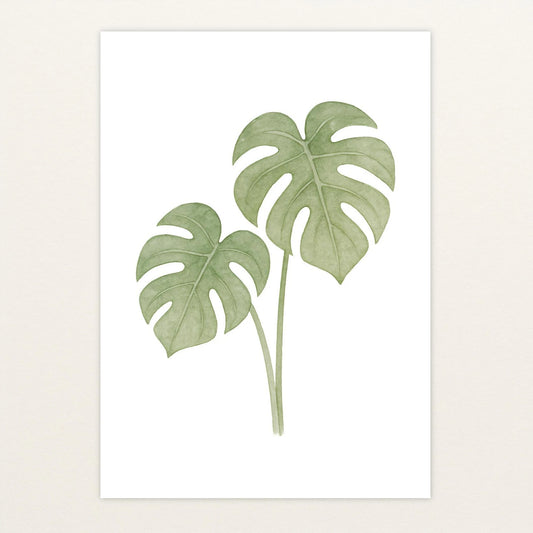 Monstera-Blätter Poster von tinylearner