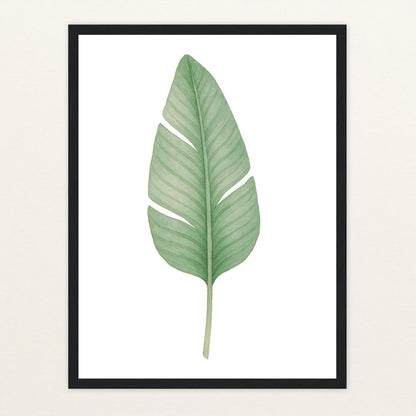 Strelitzien-Blatt Poster mit Holzrahmen von tinylearner