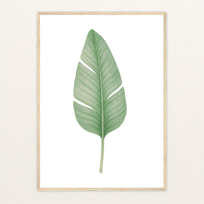 Strelitzien-Blatt Poster mit Holzrahmen von tinylearner