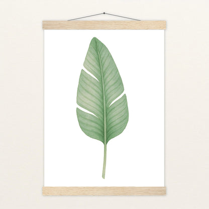 Strelitzien-Blatt Poster mit Leisten von tinylearner