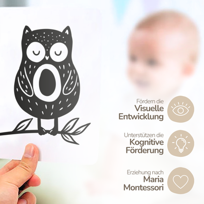 Unsere neuen Montessori Kontrastkarten