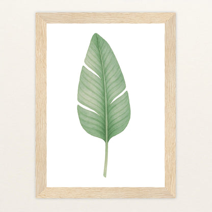 Strelitzien-Blatt Poster mit Holzrahmen von tinylearner