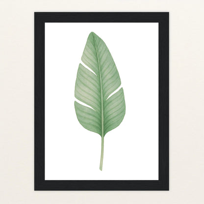 Strelitzien-Blatt Poster mit Holzrahmen von tinylearner