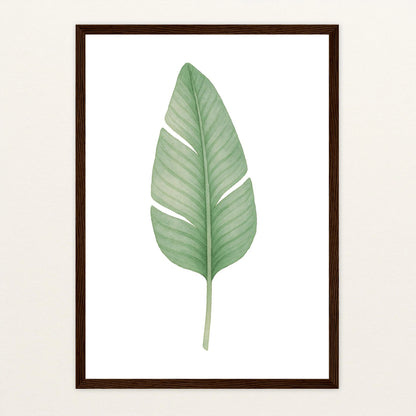 Strelitzien-Blatt Poster mit Holzrahmen von tinylearner