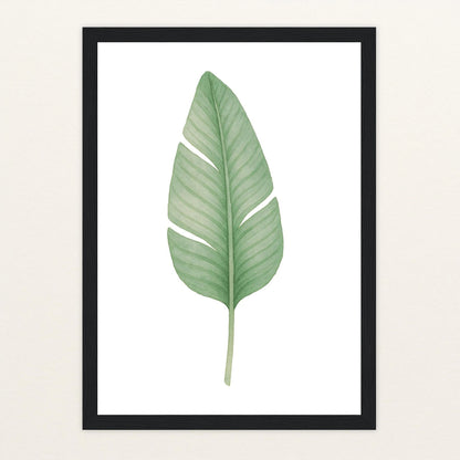 Strelitzien-Blatt Poster mit Holzrahmen von tinylearner