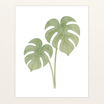Monstera-Blätter Poster von tinylearner
