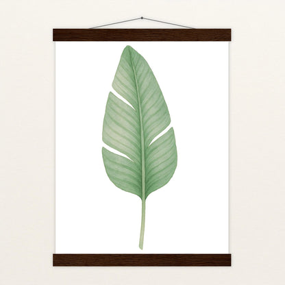 Strelitzien-Blatt Poster mit Leisten von tinylearner