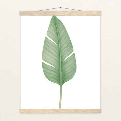 Strelitzien-Blatt Poster mit Leisten von tinylearner
