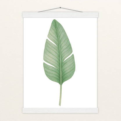 Strelitzien-Blatt Poster mit Leisten von tinylearner