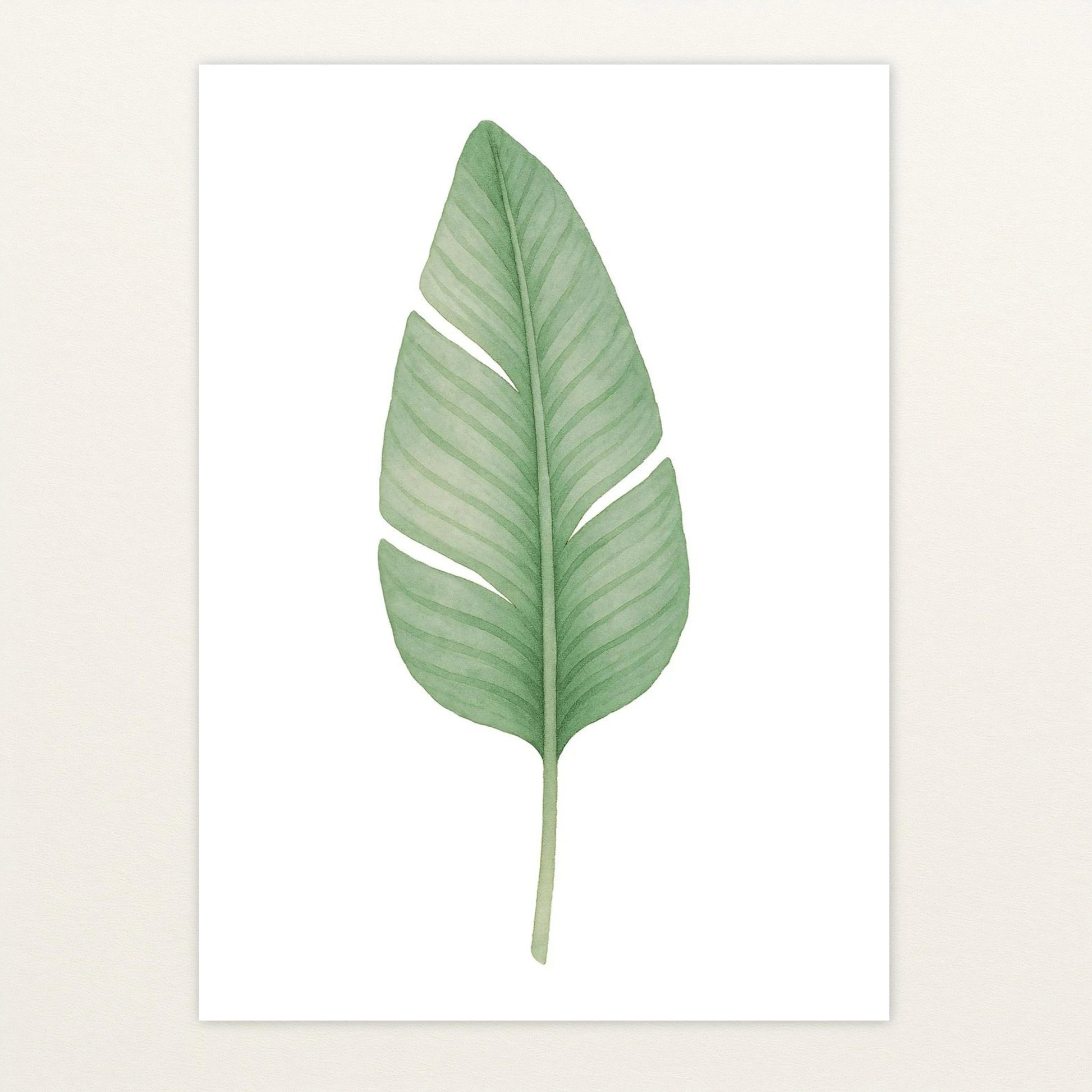 Strelitzien-Blatt Poster von tinylearner