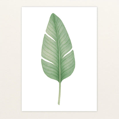 Strelitzien-Blatt Poster von tinylearner