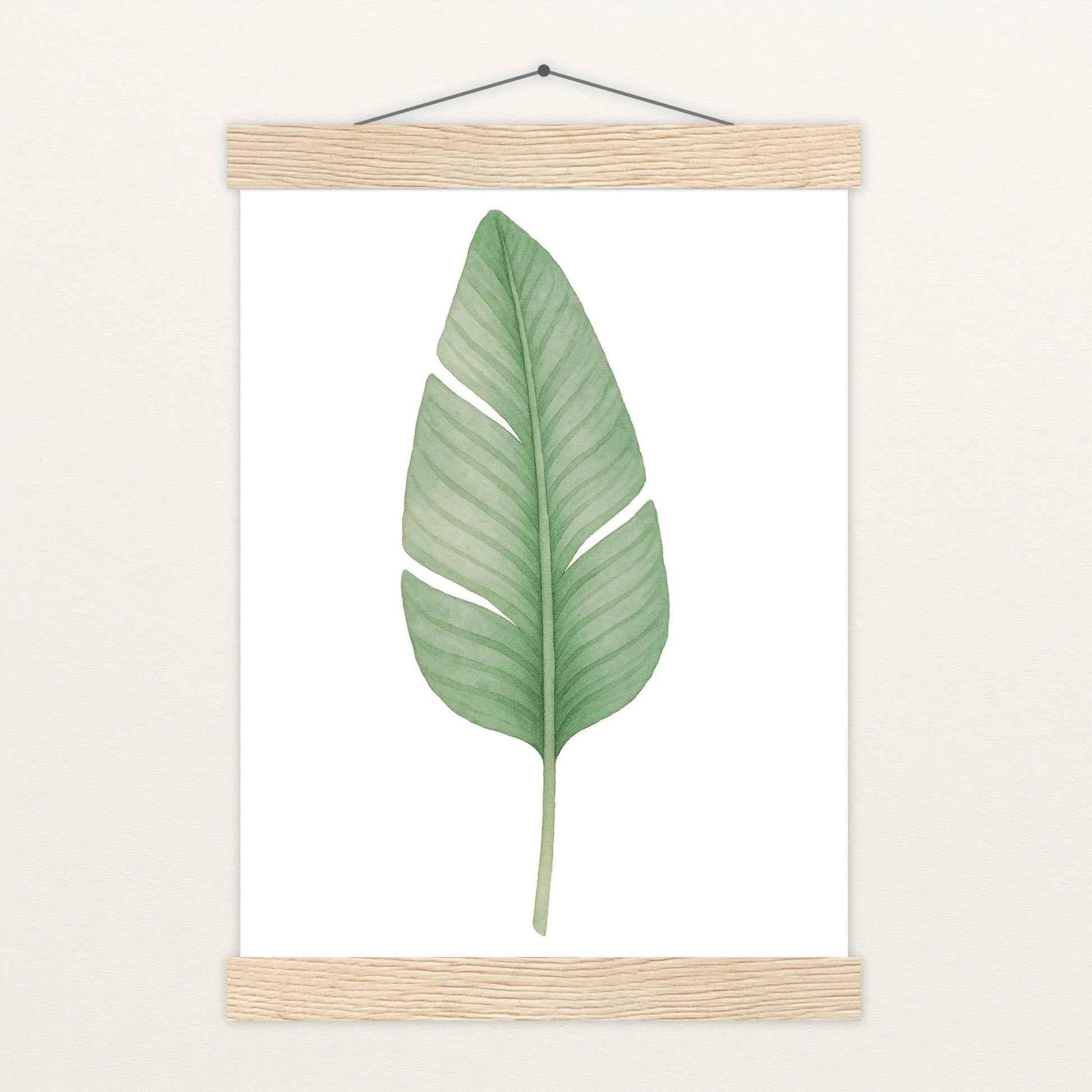 Strelitzien-Blatt Poster mit Leisten von tinylearner