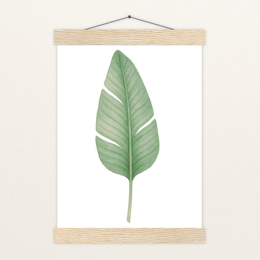 Strelitzien-Blatt Poster mit Leisten von tinylearner