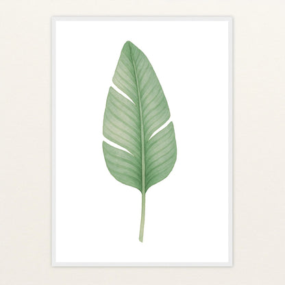 Strelitzien-Blatt Poster mit Holzrahmen von tinylearner