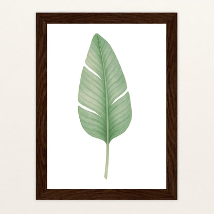 Strelitzien-Blatt Poster mit Holzrahmen von tinylearner