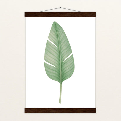 Strelitzien-Blatt Poster mit Leisten von tinylearner