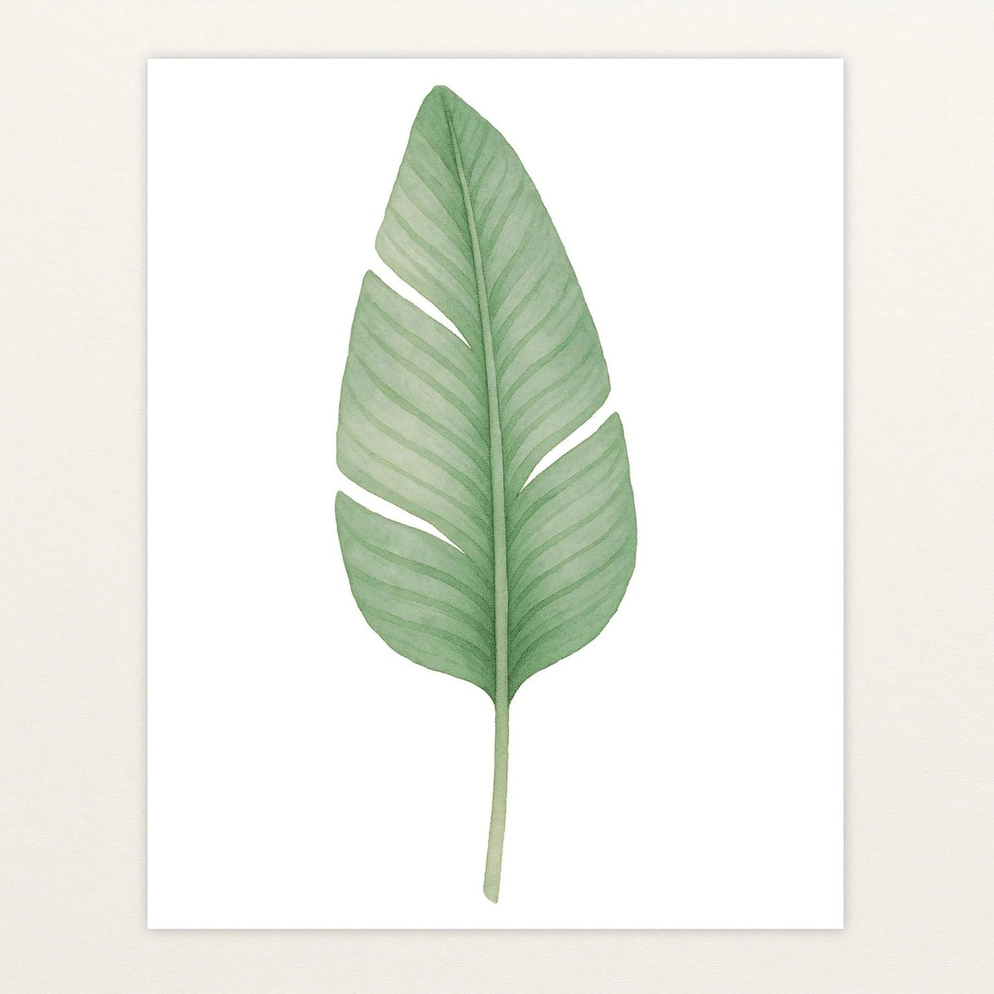 Strelitzien-Blatt Poster von tinylearner