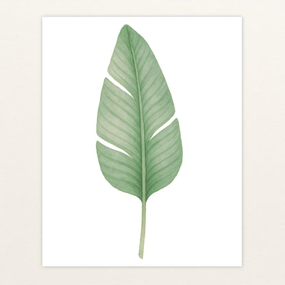 Strelitzien-Blatt Poster von tinylearner