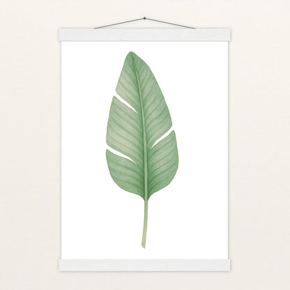 Strelitzien-Blatt Poster mit Leisten von tinylearner