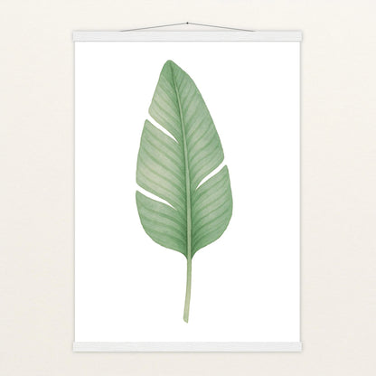 Strelitzien-Blatt Poster mit Leisten von tinylearner