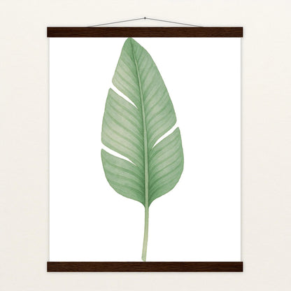 Strelitzien-Blatt Poster mit Leisten von tinylearner