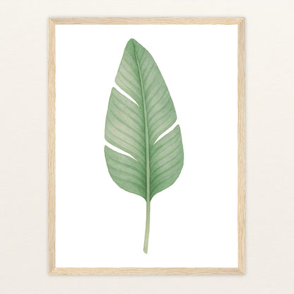 Strelitzien-Blatt Poster mit Holzrahmen von tinylearner