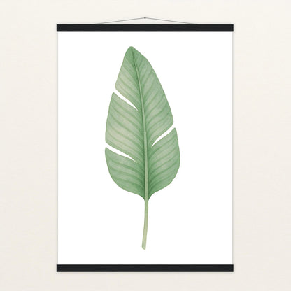 Strelitzien-Blatt Poster mit Leisten von tinylearner