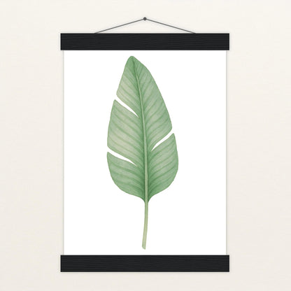 Strelitzien-Blatt Poster mit Leisten von tinylearner