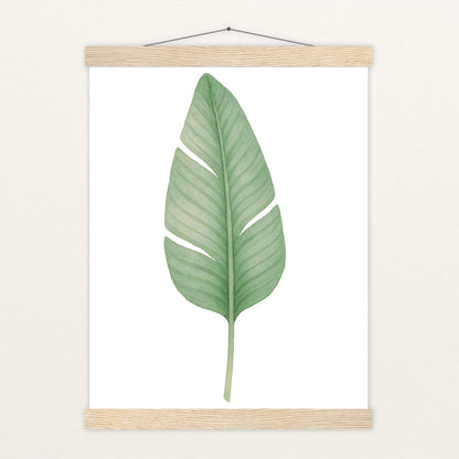 Strelitzien-Blatt Poster mit Leisten von tinylearner