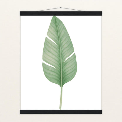 Strelitzien-Blatt Poster mit Leisten von tinylearner