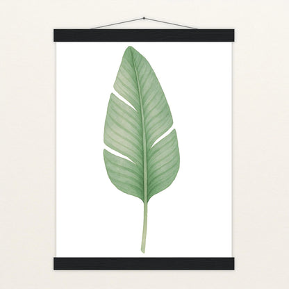 Strelitzien-Blatt Poster mit Leisten von tinylearner
